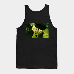 Noni Fruit on a Tree Tank Top